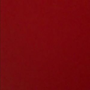 Meet your Posher, Joey